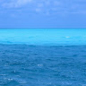 Meet your Posher, Autumn